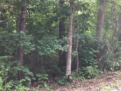 0 Oak Hills Dr unit MIS25036202, Rolla, MO 65401 - photo 6