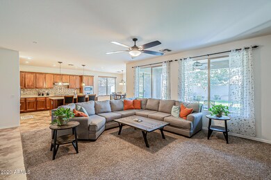 41369 N Jarnigan Place unit 1, San Tan Valley, AZ 85140 - photo 5