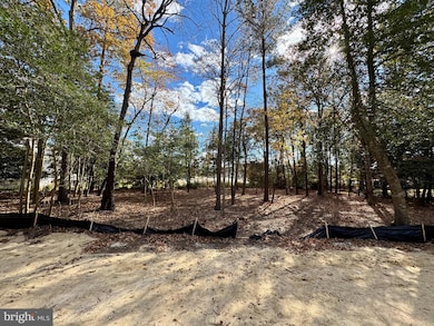 17 N Heron Dr, Lewes, DE 19958 - photo 5