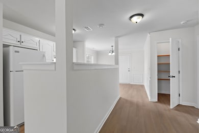 1501 N Hampton Ct, Hampton, GA 30228 - photo 7