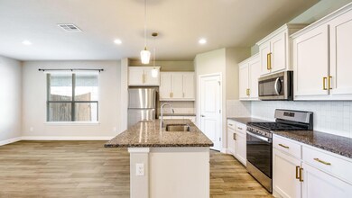 1121 Presidio Ln, Hudson Oaks, TX 76087 - photo 5