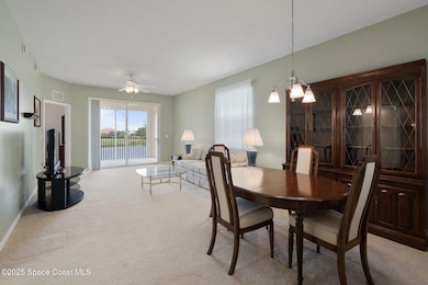 15-web-or-mls-DSC07348
