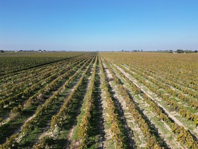 529 W Floral Ave, Fresno, CA 93706 - photo 6