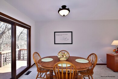 471 Kickapoo Ave, Batavia, IL 60510 - photo 5