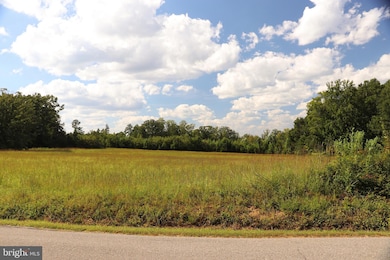 0 Mineral Springs Rd unit PARCEL 36735, Boydton, VA 23917 - photo 4