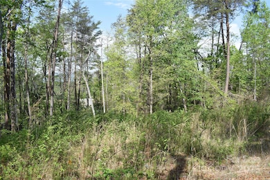 0 Winter Ln unit Lot 7 CAR4280434, Mill Spring, NC 28756 - photo 4