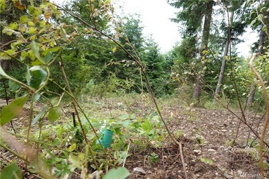 2217 384th St E, Roy, WA 98580 - photo 2