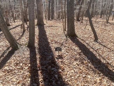 17 Saunders Point Rd, Huddleston, VA 24104 - photo 2