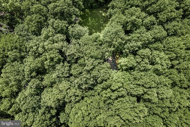 319 Rocky Mount Rd, Linden, VA 22642 - photo 3