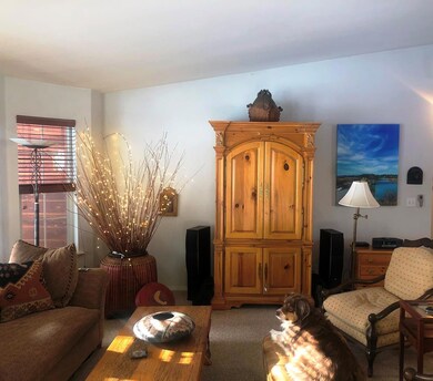 Living Room with Southern Exposure
