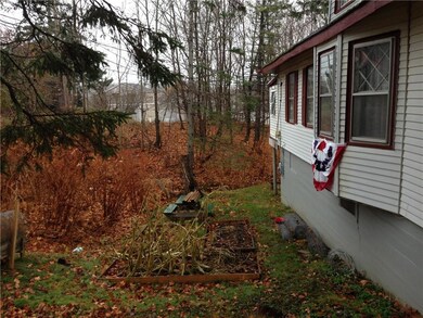 East side of house with raised beds...