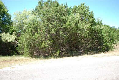 8117 High Mesa Dr, Whitney, TX 76692 - photo 7