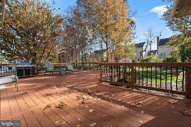 4521 Waverly Crossing Ln, Chantilly, VA 20151 - photo 3