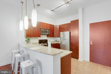 Twelve 09 unit 104, Baltimore, MD 21201 - photo 3