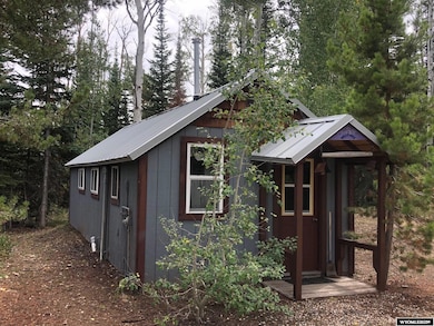 32 A Forest Service, Saratoga, WY 82331 - photo 6