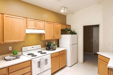 kitchen5 (1)