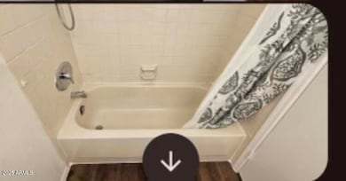tub/shower