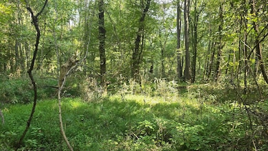 Nelson Corner Rd, Roxie, MS 39661 - photo 3