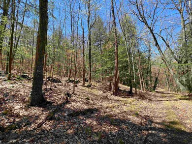 00 Ramsay Hill Rd, Walpole, NH 03608 - photo 7