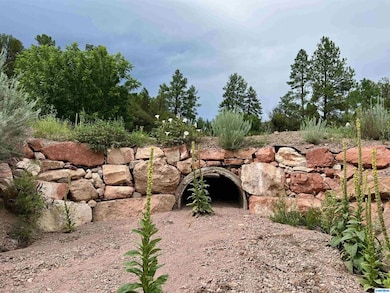 5 Chestnut St unit Tracts 1A and 1B, Mimbres, NM 88049 - photo 6