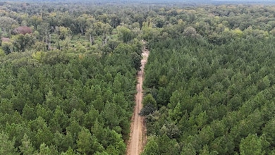 0 unit 2, Winnfield, LA 71483 - photo 3