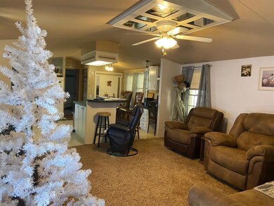 100 Broken Arrow, Comanche, TX 76442 - photo 3