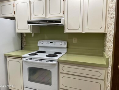 13806 N 110th Ave, Sun City, AZ 85351 - photo 7