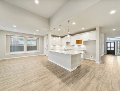 21511 Henrys Blush Dr, Tomball, TX 77377 - photo 4