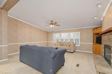 537 Roberts Ridge, Rutledge, TN 37861 - photo 5