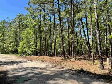 237 Senita Dr, Sam Rayburn, TX 75931 - photo 4