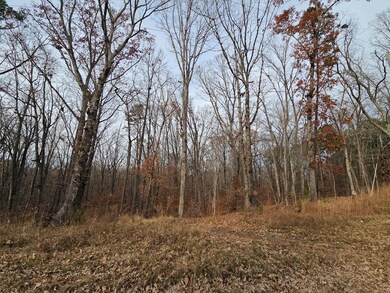 Lots 3-4 Powhatan Rd, Clarksville, VA 23927 - photo 4