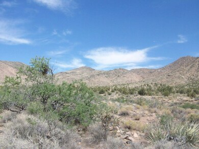 157 Acres 7
