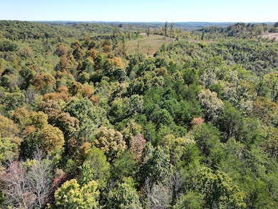 9999 Ohler Branch Rd, East Bernstadt, KY 40729 - photo 2