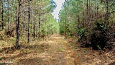 0000 Elijah Graham Rd, Noxapater, MS 39346 - photo 3