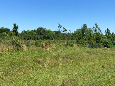 1793 Firetower Rd, Enigma, GA 31749 - photo 6