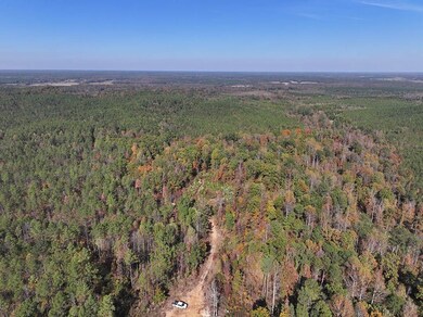 Hugh Gilreath Rd, Woodland, MS 39776 - photo 7