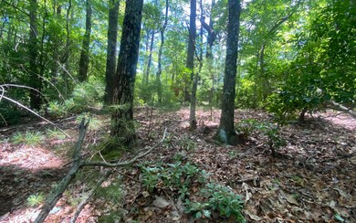 Additional View