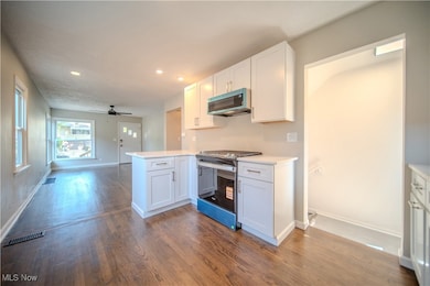 382 Larkin Ave, Akron, OH 44305 - photo 6