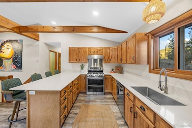 22 Driver Rd, Bailey, CO 80421 - photo 6