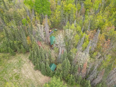 View from above of property featuring a forest