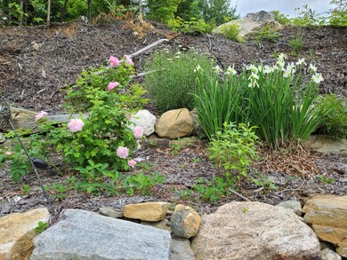 Back flower garden