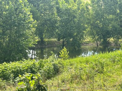 000 Prescott Rd, Kissee Mills, MO 65680 - photo 7