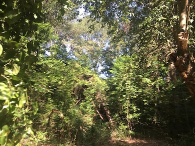 0 U S Highway 51, McComb, MS 39648 - photo 3