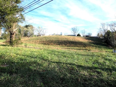 000 Lee Hwy, Meadowview, VA 24361 - photo 3