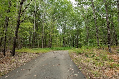 309 Southwest Rd, Canterbury, NH 03224 - photo 2