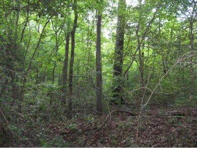 67.44 ac Cr 713, Nacogdoches, TX 75964 - photo 5