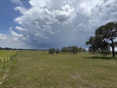 01 W Highway 328, Dunnellon, FL 34432 - photo 6