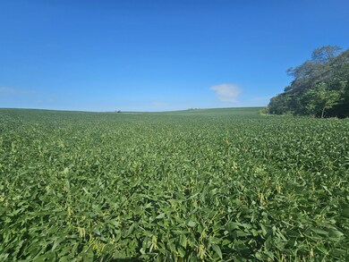 001 160th St, Elmo, MO 64445 - photo 6