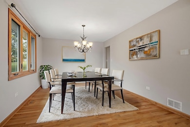 13255 W Long Run Ct, Homer Glen, IL 60491 - photo 4