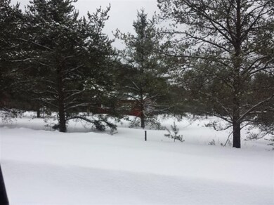 2049 S Astor Rd, Baldwin, MI 49304 - photo 3